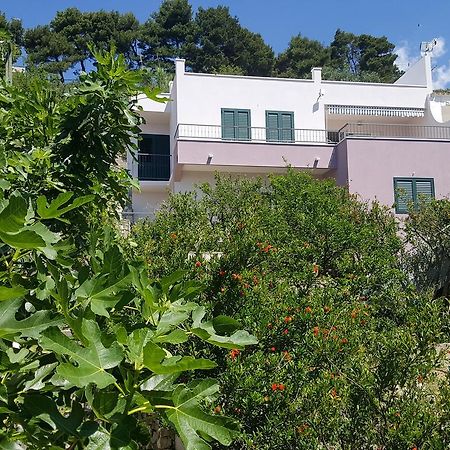 Apartments Pero Podgora Εξωτερικό φωτογραφία