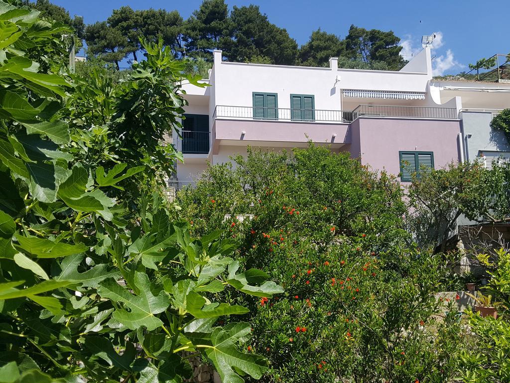 Apartments Pero Podgora Εξωτερικό φωτογραφία